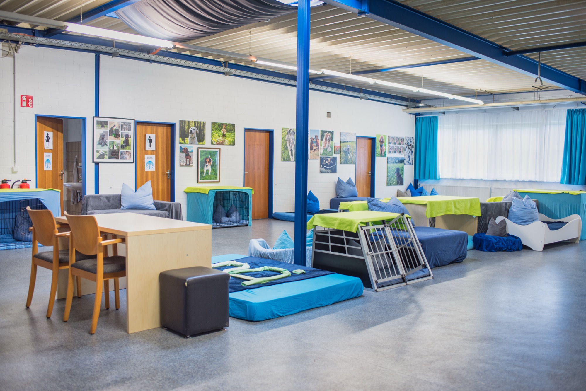 Hunde entspannt in der HuTa